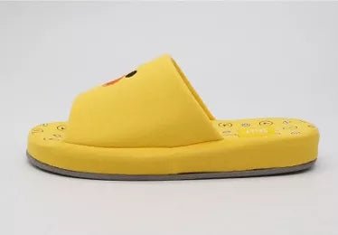 LINE FRIENDS - Brown & Friends Hausschuhe (Slippers) - Seoul-Mate
