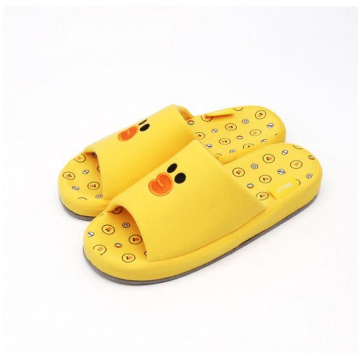 LINE FRIENDS - Brown & Friends Hausschuhe (Slippers) - Seoul-Mate