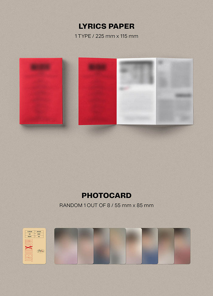 Stray Kids - MAXIDENT Mini Album (Case Version) – SeoulMate
